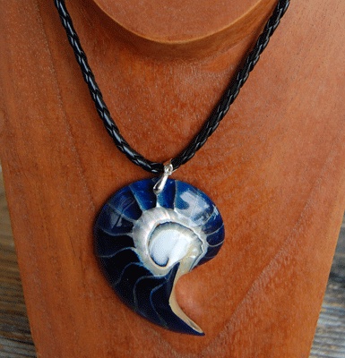 shell natural cut with resin