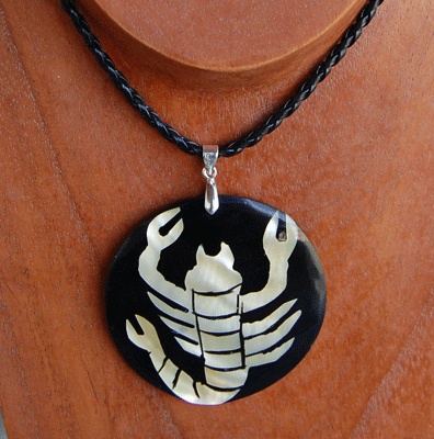 Zodiac shell with resin necklace